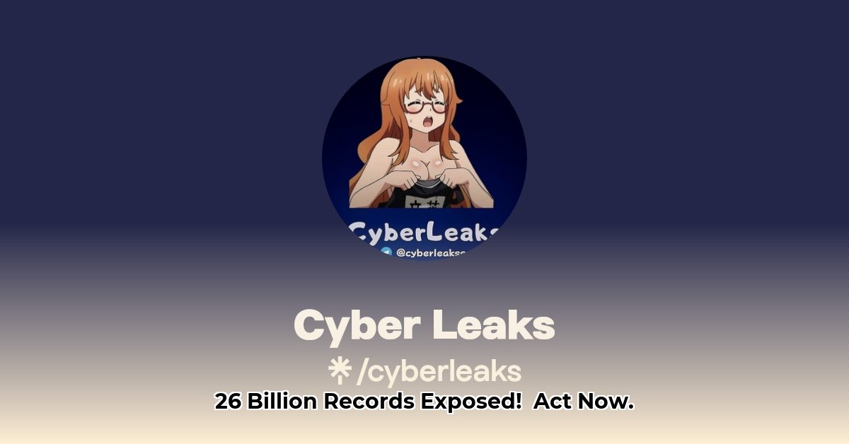 cyberleaks-to